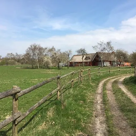 Soegaardensbb * Stenlose