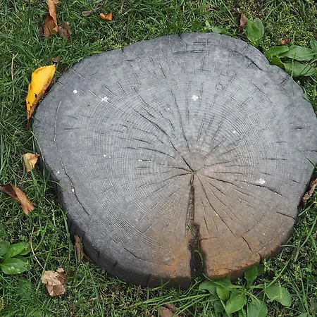 Soegaardensbb Couette-café