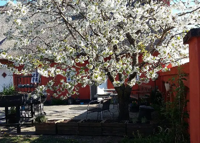 Oda ve Kahvaltı Soegaardensbb Stenlose