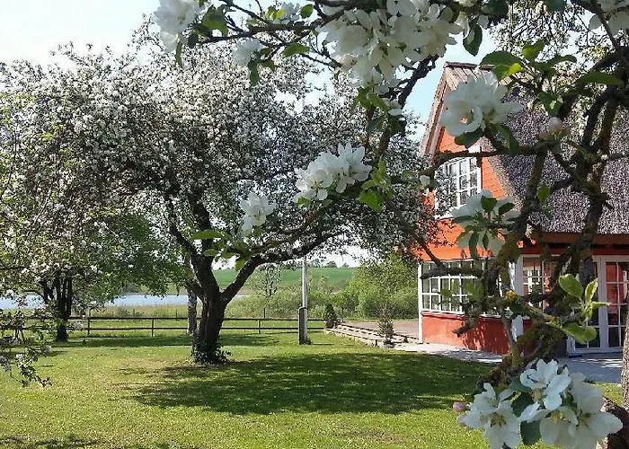 Oda ve Kahvaltı Soegaardensbb Stenlose